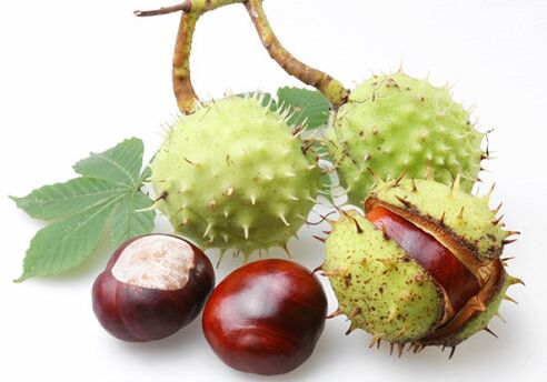 I frutti di castagna sono ricchi di molte preziose vitamine e microelementi che hanno un effetto positivo sulla prostata.